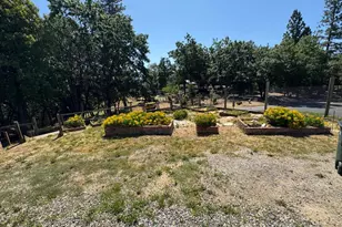 14764 Tanyard Hill Rd, Pine Grove, CA 95665 - Photo 66