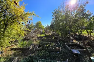 832 Old Hwy 99 W, Arbuckle, CA 95912 - Photo 46