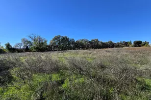 832 Old Hwy 99 W, Arbuckle, CA 95912 - Photo 22