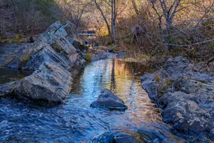 15747 French Town Rd, Brownsville, CA 95919 - Photo 8