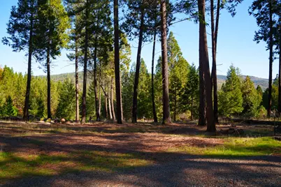 15747 Frenchtown Road, Brownsville, CA 95919 - Photo 12