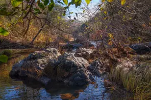 15747 French Town Rd, Brownsville, CA 95919 - Photo 34