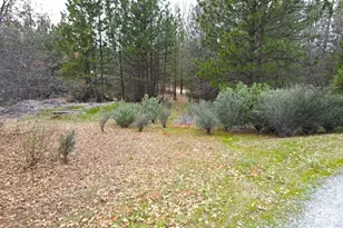 2805 Mason Rd, Rail Road Flat, CA 95248 - Photo 70