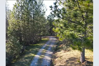 2805 Mason Road, Rail Road Flat, CA 95248 - Photo 8