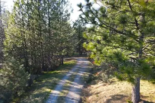 2805 Mason Rd, Rail Road Flat, CA 95248 - Photo 8