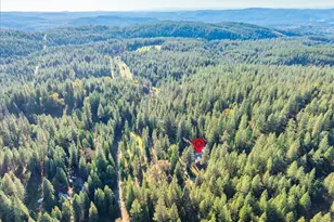 111 Alaska Peak, North San Juan, CA 95960 - Photo 80