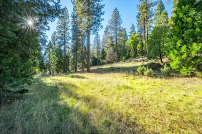 111 Alaska Peak, North San Juan, CA 95960 - Photo 76