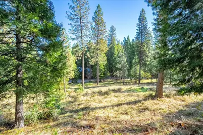 111 Alaska Peak, North San Juan, CA 95960 - Photo 64