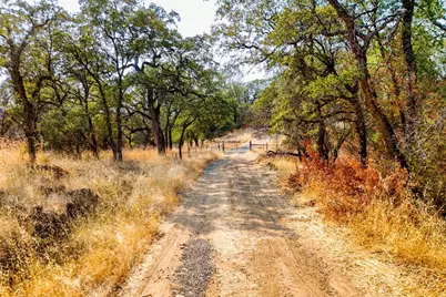 16241 Beyers, Grass Valley, CA 95949 - Photo 6