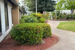 Pina, Sacramento, CA 95828 - Photo 26