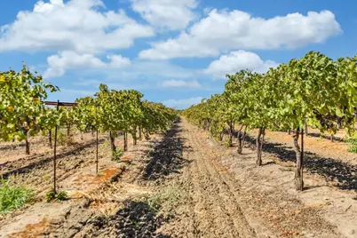 32852 S River Rd, Clarksburg, CA 95612 - Photo 56