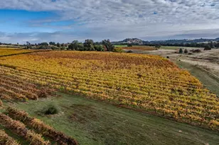 10786 Shenandoah Rd, Plymouth, CA 95669 - Photo 72