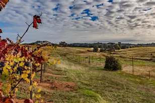 10786 Shenandoah Rd, Plymouth, CA 95669 - Photo 62