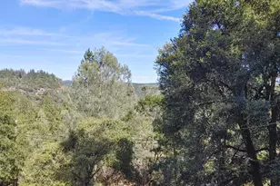 1333 174 Hwy, Colfax, CA 95713 - Photo 30