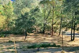 1333 174 Hwy, Colfax, CA 95713 - Photo 20