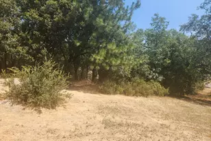 1333 174 Hwy, Colfax, CA 95713 - Photo 82