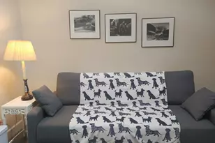 1333 174 Hwy, Colfax, CA 95713 - Photo 8