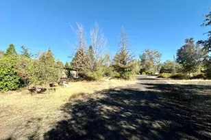 4550 Wilson Hill Rd, Manton, CA 96059 - Photo 44
