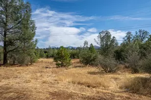 4550 Wilson Hill Rd, Manton, CA 96059 - Photo 50
