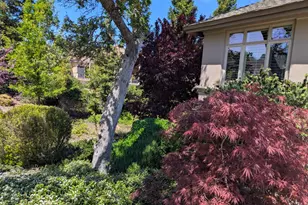 50 Knolls Ct, Copperopolis, CA 95228 - Photo 34