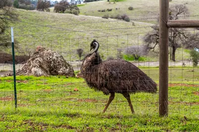 20839 Bear Hollow Road, Grass Valley, CA 95949 - Photo 42