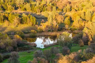 20839 Bear Hollow Rd, Grass Valley, CA 95949 - Photo 32