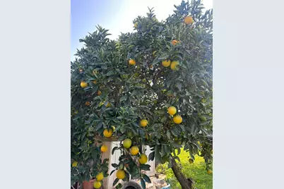 968 Virginia Avenue, Olivehurst, CA 95961 - Photo 20