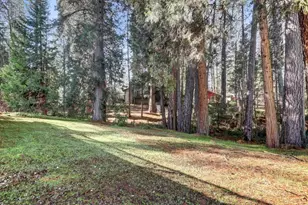 362 Gracie Rd, Nevada City, CA 95959 - Photo 60