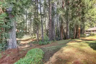 362 Gracie Rd, Nevada City, CA 95959 - Photo 62