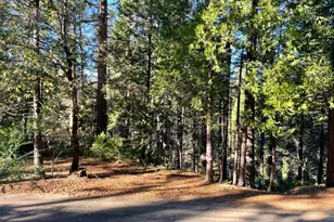 22447 Ponderosa Dr, Twain Harte, CA 95383 - Photo 1