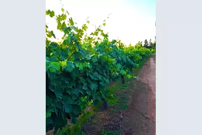 17266 Hillside Drive, Lodi, CA 95240 - Photo 82