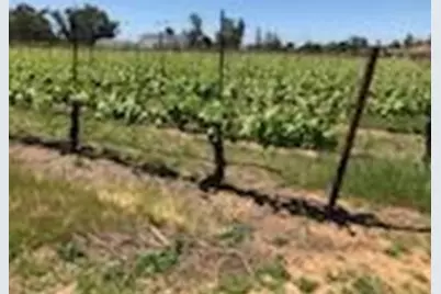 17266 Hillside Drive, Lodi, CA 95240 - Photo 86