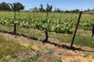 17266 Hillside Dr, Lodi, CA 95240 - Photo 86