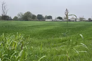 209 Clausen Rd, Turlock, CA 95380 - Photo 2