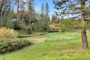 910 Eden Valley Rd, Colfax, CA 95713 - Photo 4