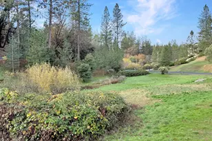 910 Eden Valley Rd, Colfax, CA 95713 - Photo 42