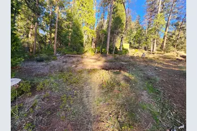 1919 Lily Valley Circle, West Point, CA 95255 - Photo 1