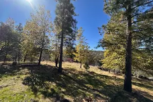 4934 Triangle Rd, Mariposa, CA 95338 - Photo 30