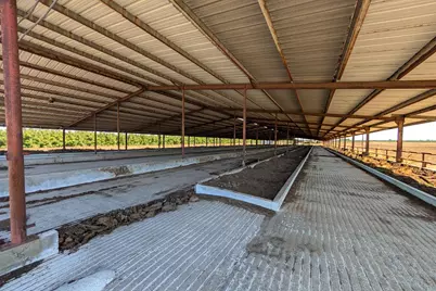 15918 N Jack Tone Road, Lodi, CA 95240 - Photo 38