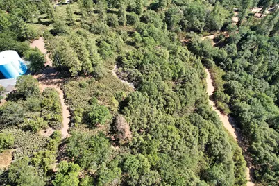 1233 Cedar Hill Road, Mokelumne Hill, CA 95245 - Photo 44