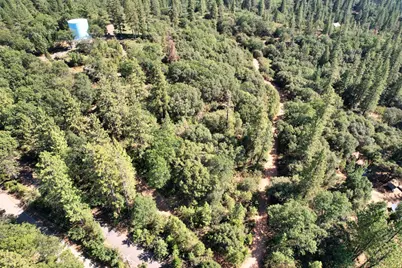 1233 Cedar Hill Road, Mokelumne Hill, CA 95245 - Photo 70