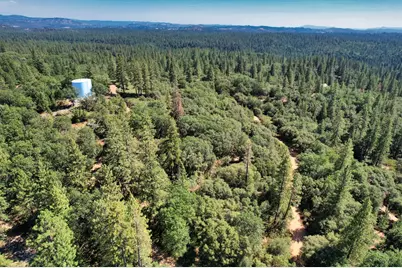 1233 Cedar Hill Road, Mokelumne Hill, CA 95245 - Photo 30