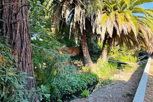 1114 Laurel St, Santa Cruz, CA 95060 - Photo 30