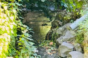 1114 Laurel St, Santa Cruz, CA 95060 - Photo 28