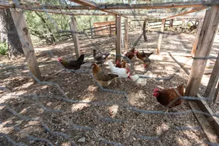 15046 Leiter Way, Grass Valley, CA 95949 - Photo 30