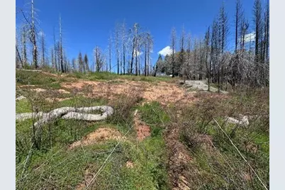 4963 Deertrack Court, Grizzly Flats, CA 95636 - Photo 2