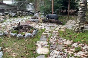 32956 Rd 222, North Fork, CA 93643 - Photo 16