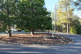 11650 Clinton Bar Rd, Pine Grove, CA 95665 - Photo 56