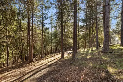 11650 Clinton Bar Road, Pine Grove, CA 95665 - Photo 52