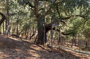 11650 Clinton Bar Rd, Pine Grove, CA 95665 - Photo 46